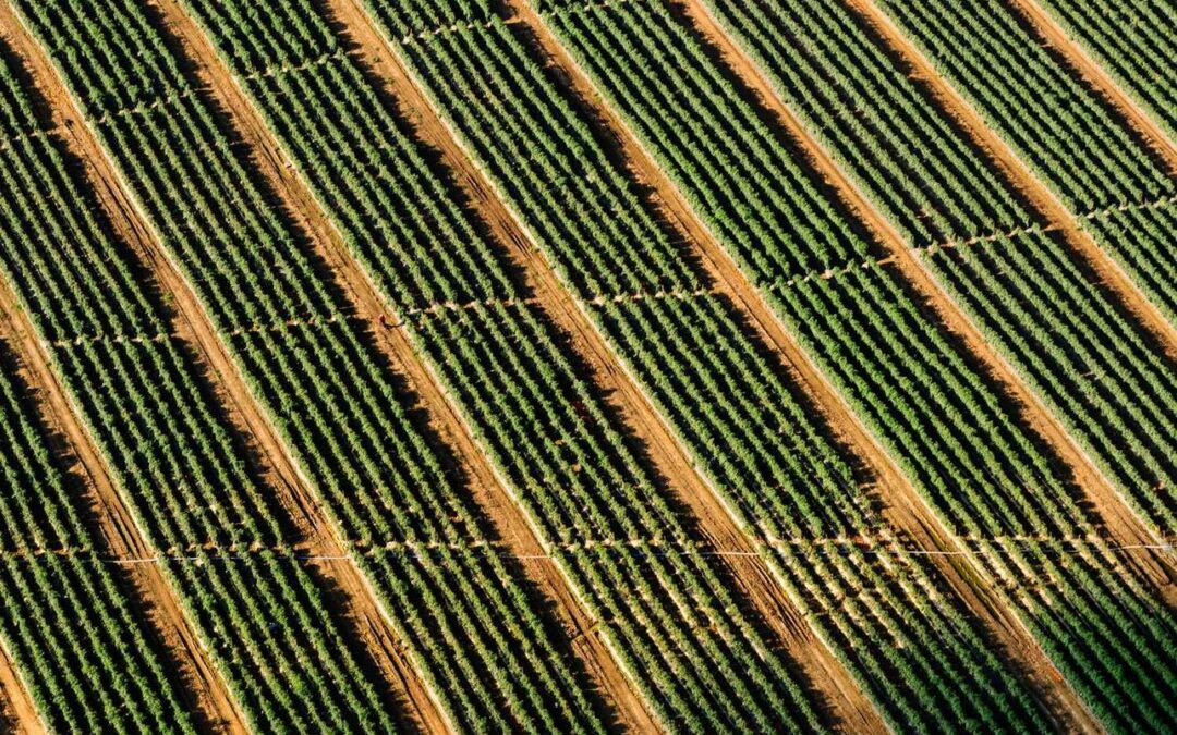 Et sed doloremque corporis est minima maiores