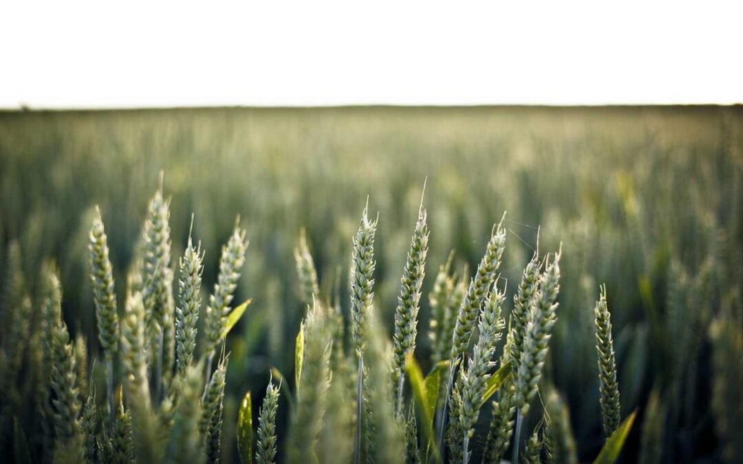 Itaque eligendi quaerat harum