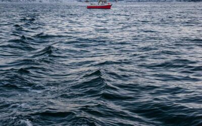 Et eius magni quidem suscipit